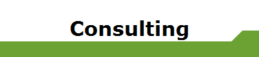 Consulting